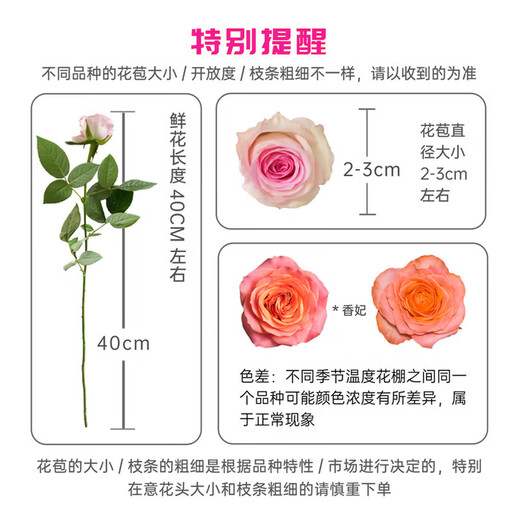 Jingdong Flowers Kunming Base Flower Straight Hair Family Life Flowers Rose Carnation Mix and Match-Fresh as Yi Source Straight Hair