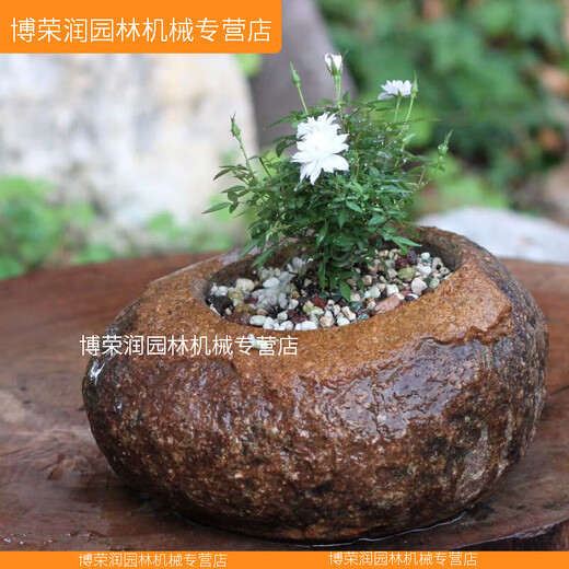 XMSJ优质原花盆花器盆景盆菖蒲铜钱草专用盆文竹盆栽水仙盆石器 升级No.9435