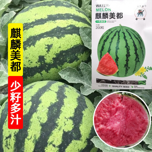 Kirin Meidu watermelon seeds with thin skin, crack-resistant, few seeds, super sweet and crispy 8424 round watermelon Meidu watermelon seeds, 200 pieces original Kirin Meidu