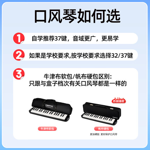 FEIFAN飞繁 口风琴37键小学生专用儿童成人专业演奏级 黑色硬包