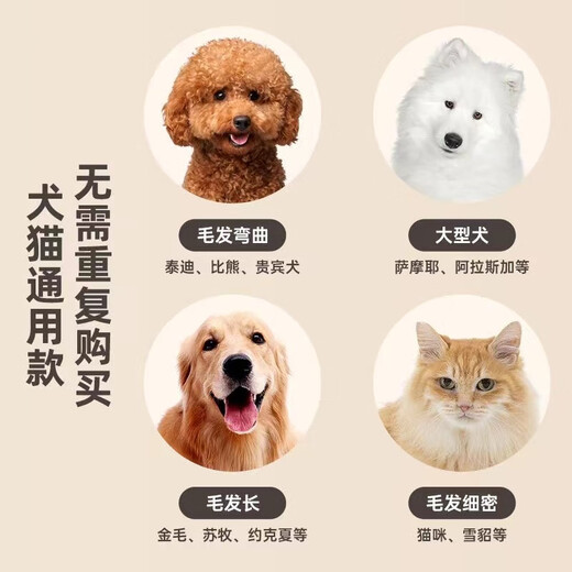 XMSJ Puppy Shaver Special Pet Electric Clipper Shear Teddy Cat Shaving Machine Dog Hair Shaving Artifact Full Set of Tools White Upgraded Model + Beauty Tools