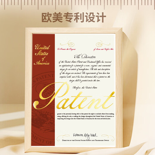 Boodain爆弹洗车机洗车用高压水枪无线锂电洗车神器全套工具DH机械师系列