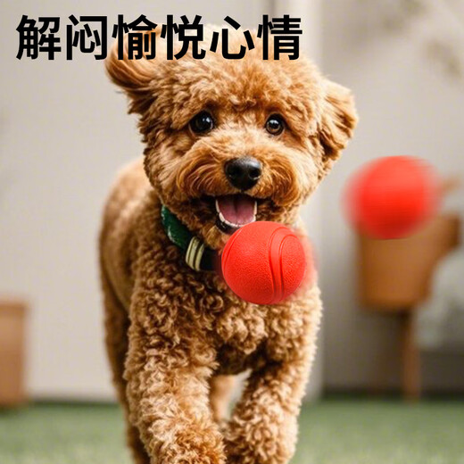 Zanpet dog toy ball, bite-resistant and molar-resistant elastic ball, Teddy self-pleasure and boredom relief, solid rubber ball for pet training