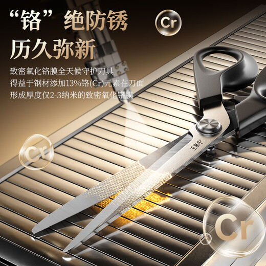 Wang Mazi ciseaux de tailleur ciseaux spéciaux de tailleur ciseaux industriels vêtements ciseaux de couture ménage 9 pouces