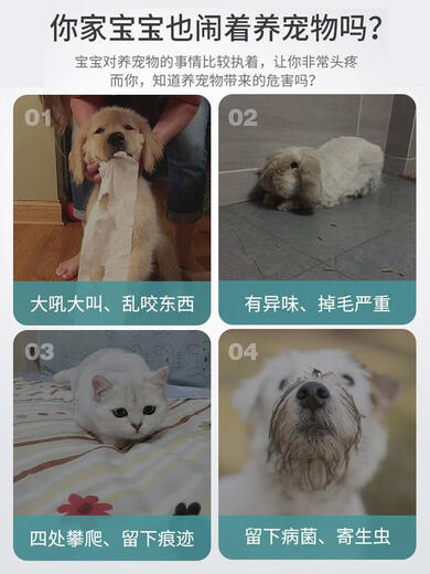 接运猫小鸡养成屋宠物儿童切切乐玩具3-6岁9兔子女童公主女孩女生过家家 小鸡养成屋基础版+会叫小鸡