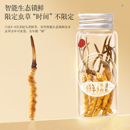 Tongrentang Brand Beijing Tongrentang Fresh Cordyceps Cordyceps Cordyceps Boîte-cadeau Fresh Cordyceps sans cadeaux de l'herbe cassée pour les aînés 1 boîte 40,5g 3a Cordyceps frais 50 0,8-1 G / T