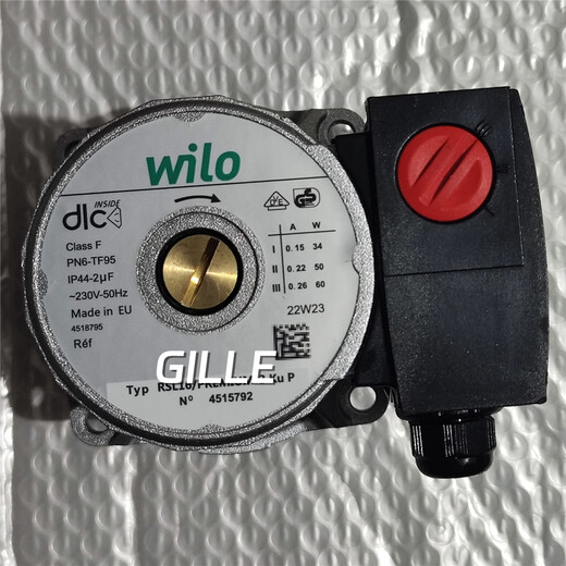Gas wall-hung boiler German Wilo water pump original accessories motor motor 57 59 60 63 C model-60W-YYJ (imported new single motor)