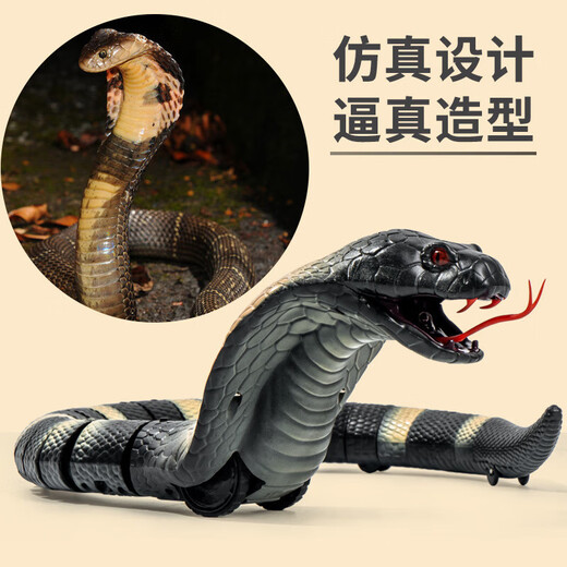 抖音新奇特遥控动物整蛊遥控蛇遥控蜘蛛玩具 迷你版-感应蟑螂棕色款9902A 1