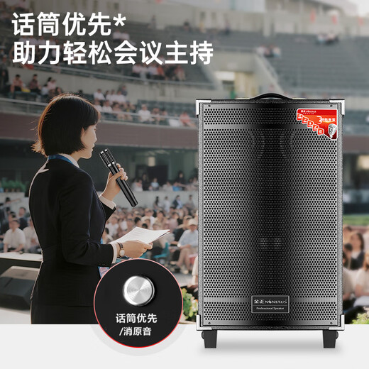 NINTAUS 15-inch square dance speaker, outdoor portable Bluetooth speaker, large volume and high power trolley speaker, karaoke professional equipment, removable with dual microphones N12-22