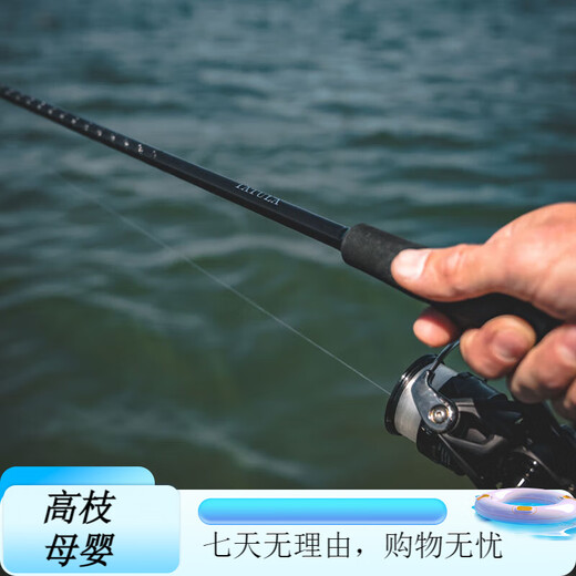 Daiwa 24 Tatula XT Spider Lure Rod Microobjetos de alta carbono Usado pesca de lubina con dientes lejanos Fine Worm Many/682lfs 2.03m