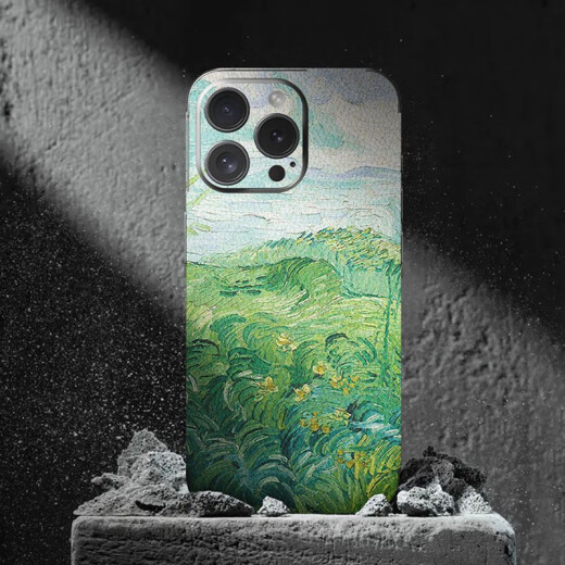华强北优选适用苹果iPhone16Pro手机皮纹保护膜16ProMax个性背贴15Max全包一 A14983M打印素皮一体全包背膜送 iPhone16