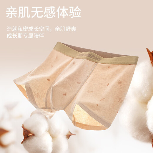 
Septemberg (SEPTWOLVES) teenager underwear pure cotton A-type cotton 12-18 years old puberty boys large size 220 Jin [Jin equals 0.5 kg] Colored cotton boxer pants 9928 [Natural colored cotton suit] 4 strips M --70-90 Jin [Jin equals 0.5 kg]