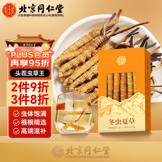 Usado en la cancha interior [Beijing Tongrentang First Golden Grass] Cordyceps sinensis 1G aproximadamente 3-5 pasto nutritivo empapado en vino y regalos