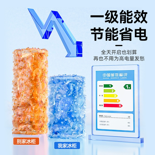 雪花（SNOWFLK）冰柜商用家用冷柜卧式大容量全冷冻柜展示柜 【1048数显】单温扩容款丨一级能效 空柜温度可达-30度丨铜管速冷低耗