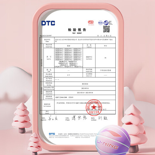 Li Ning Basketball Children's No. 5 Youth Primary School Students Kindergarten Indoor and Outdoor Cement Floor Wear-resistant Training Gift No. 5