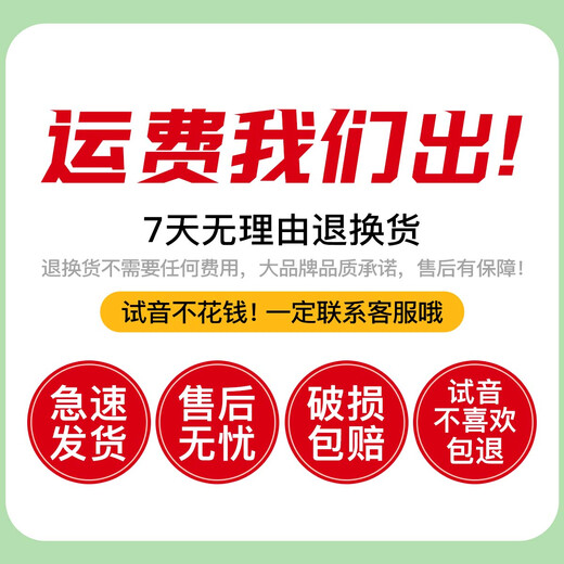 克莉丝蒂娜（Christina）进口欧料小提琴S200A考级进阶演奏云杉木枫木入门乐器4/4