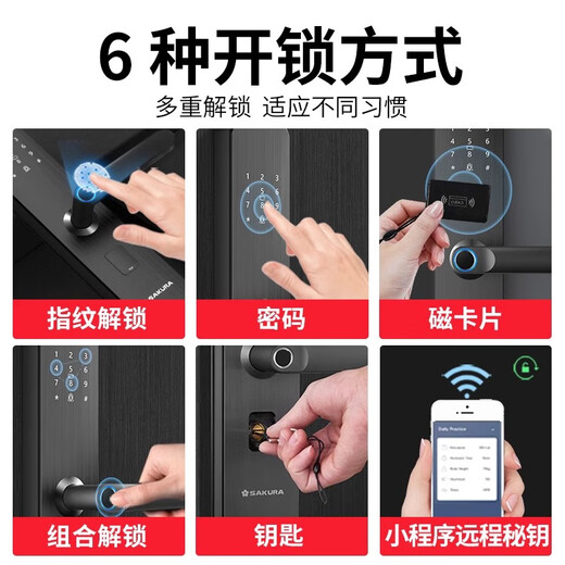 SAKURA SMART LOCK SAKURA SMART DOOR LOCK PROPRIE DU MÉTABLE PORTE DE SÉCURITÉ ELECTRONIQUE ENTRÉE Mot de passe Autorisation de la marque DZ-6622 (même modèle dans l'installation de package de magasin physique)