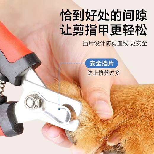 Pet nail clippers recommended for beginners Nail clippers for dogs and cats Claw scissors for pet supplies Nail clippers for cat nail clippers Small + Large - black and red