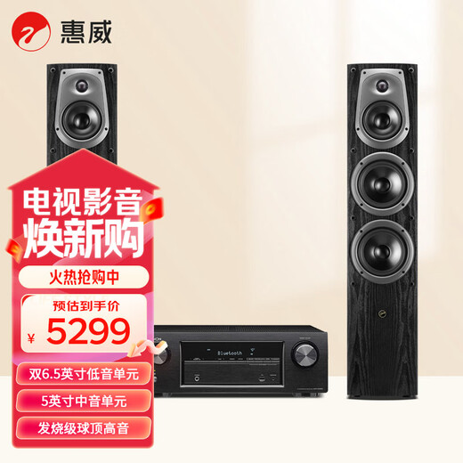 Amplificador HiVi D50F + Denon X540, conjunto de audio para cine en casa, sistema de altavoces de pie de alta fidelidad para sala de estar de 2,0 canales