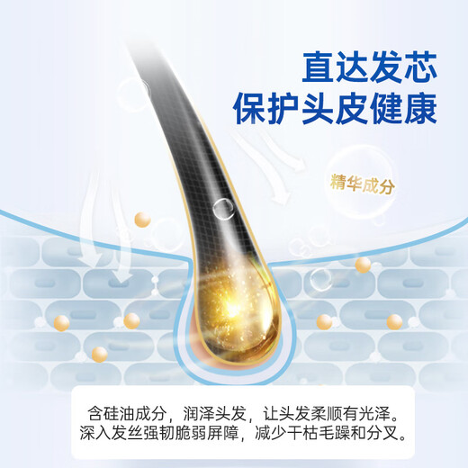威露士佛手柑精油凝萃洗发水500ml 清爽控油蓬松柔顺洗发露洗头膏男女士