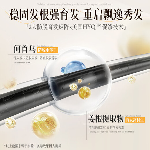 Ruyi Anti-Loss Shampoo Ginger Orchidopsis Leaf Hair Reinforcement Hair Restraining Hair Hair Removal of Oil Shampoo Relieving Itchy Fluffy Shampoo Detoxification