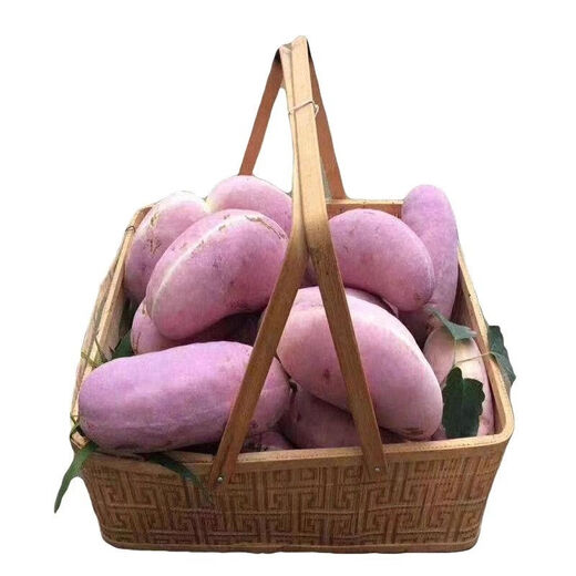 New August melon of the year, August fried in four seasons, seedless August melon seeds, August fried in the courtyard, selected fine varieties, best selling #1, about 25 pieces