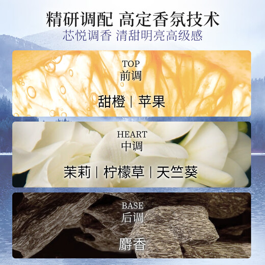 Shiseido Professional Hair Core Care Dao Chuang Core Technology Strong Root Healthy Hair Immortal Forest Scalp Vitality Series Shampoo 500ml