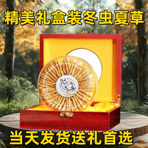 Coffret cadeau Cordyceps avec Cordyceps de haute qualité dans les zones tibétaines sur la livraison et les cadeaux le même jour. Le premier choix est les cordyceps enneigés authentiques à Nagqu, Tibet. 4 Cordyceps à haute altitude en 1 gramme 30 pièces