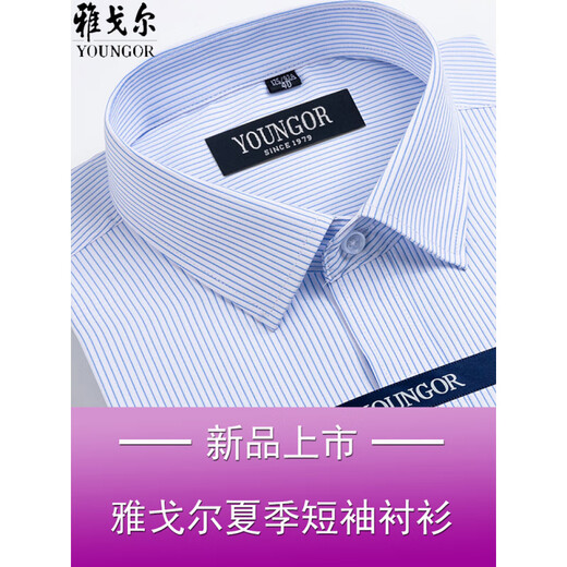 CEO雅戈尔男士短袖衬衫夏季商务休闲职业正装棉免烫中年大码条纹衬衣 短袖DX6624 38