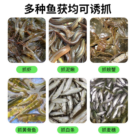 God Shark 6 hole diameter 50 fish net shrimp cage fishing cage automatically folds out only into the fishing net ground dragon net eel cage fishing gear