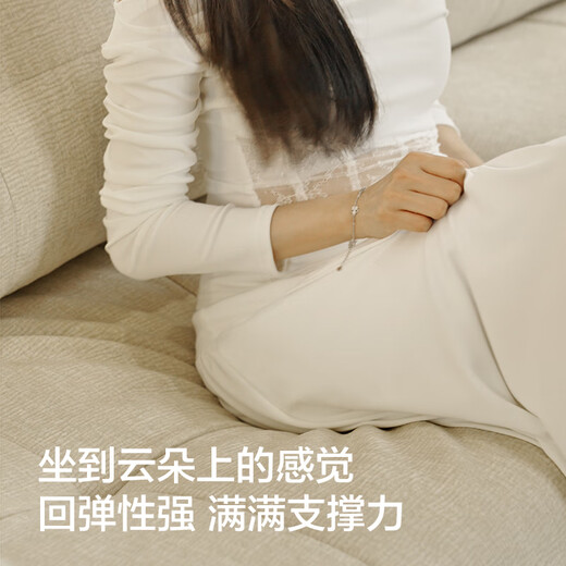 Dipu Yunlang sofa fully removable and washable fabric sofa living room small apartment three-seater 2.68m sofa Baiyunlang