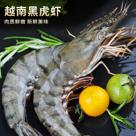 Swiss dolphin, Vietnamese extra large live frozen black tiger shrimp, Penaeus monodon, seafood, net weight 3Jin Jin equals 0.5kg (10-20/KG)