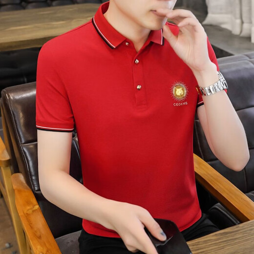 FJLT轻奢高档品牌polo衫男士T恤夏季新款时尚短袖翻领商务透气上衣 F6628（白色） L (建议115-130斤)