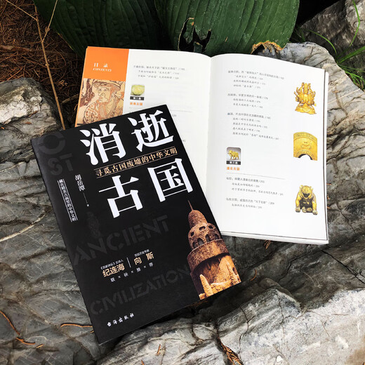 Reconnaissez l'authentique pays antique, la série nationale de trésors, les livres recommandés par l'enseignant Ji Lianhai, les livres d'histoire tels que Loulan Kingdom, Kucha Kingdom, Xixia, etc., la lecture parascolaire du lycée junior et senior, SN6225