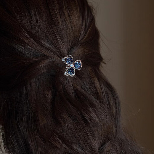 Xiangwan hairpin hairpin rhinestone star small hairpin female exquisite small clip head small grab clip side hairpin hair accessories