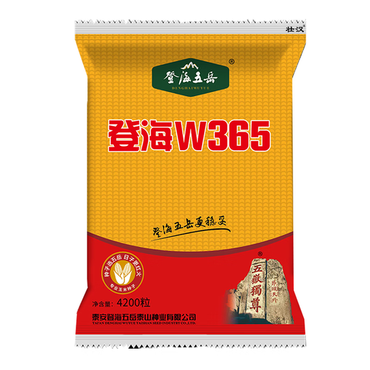 Высокоурожайные семена кукурузы Zhuanghan Denghai W365, короткий стебель, устойчивость к полеганию, одобренные на национальном уровне двойные двойники, новый засухоустойчивый сорт, Баоми, Denghai Free Chemical Control King, 4100 капсул