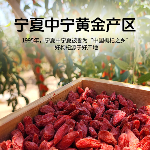 深本堂正宗红枸杞子头茬新货宁夏中宁免洗枸杞茶258g*2罐
