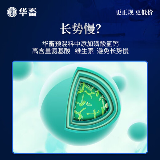 Huazhu 4% beef cattle feed, meat and sheep compound premix, sheep feed and cattle special fattening feed additive, ewe 1 bag, frame 40Jin, Jin equals 0.5kg, cattle and sheep fattening premix 4