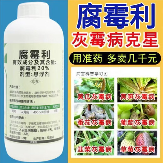 Special medicine for gray mold, procymidol fungicide, epidemic disease, cucumber, leek, tomato, strawberry, grape, fruit tree, gray mold pesticide 1000g