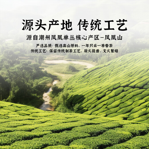 中谷御品茶叶 凤凰单枞乌龙茶 新茶特级广东潮州鸭屎香茶叶礼盒125g*2罐 【自饮罐装】凤凰单枞75g