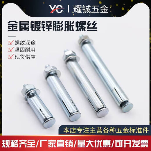 CLCEY市场标膨胀螺丝镀锌膨胀螺丝金属膨胀M6M8M10M12M14M16M外六角 m10*150实际长14225个