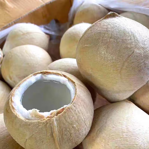 Imported Milky Coconut Royal Coconut Seasonal Fresh Fruit Green Coconut Milky Fragrance Rich and Sweet Taste King of Cost-Effectiveness Coconut King 9 pieces come with soft knife Large fruit single fruit 400-500g