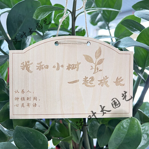 Yong Huan 10 pieces of custom-made wooden hanging tags for school Arbor Day tags tree adoption tags plant tags name cards grow with the trees 10 pieces