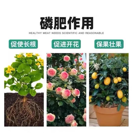 Yuntianhua Phosphate Fertilizer Flower Superphosphate Flower Fertilizer Vegetable Fertilizer Root-Strengthening Fertilizer Soil Fertilizer Chemical Fertilizer Vegetable Agricultural Fertilizer The whole bag of 100Jin Jin is equal to 0.5kg. Originally issued
