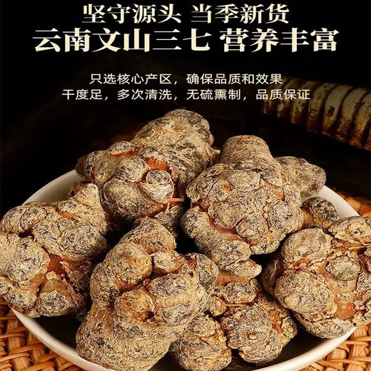 Chen Dingqi Panax Notoginseng Yunnan Wenshan Chun Panax Notoginseng Chinesische Kräutermedizin 20 Köpfe 10 Köpfe ohne Schnitte Tian 7 37 Köpfe [ausgewählt 20 Köpfe 10-250 Gramm neue Waren für die Saison]