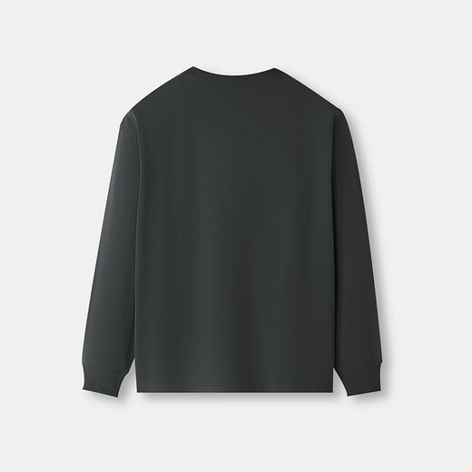 HLA Hailan House sweatshirt men's autumn round neck slightly elastic fashion embroidered pure cotton long-sleeved men's HNZWD3J100A