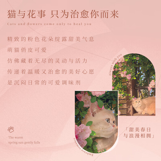 Ginqianhui 925 silver cat earrings for women 2025 new peach blossom earrings jewelry birthday and Valentine's Day gifts for girlfriend Cat and Flower Earrings/925 Silver + Seven Warehouse Delivery/Next Day Delivery Anniversary Gift/Exquisite Gift Box/Girlfriend