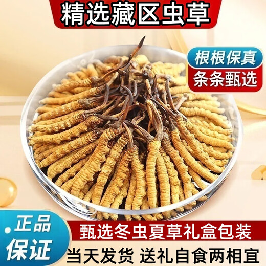 鹿章堂冬虫夏草礼盒装正宗藏区雪山虫草送礼佳品品质保证当天发货 西藏那曲精品虫草3条1克50条