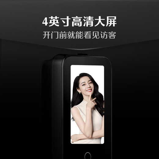 DESMAN Smart Türschloss Finger Venenerkennung Sentinel Smart Cat Eye Großbildschirm Fingerabdruck Passwortsperre Dasheng Q5MSPro