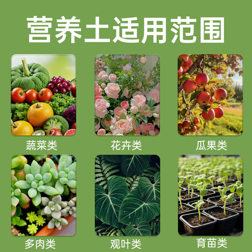 Flower Language organic cultivation matrix plant universal nutrient soil gardening imported peat soil nutritional fertilizer for flower and vegetable cultivation Flower Language organic cultivation matrix soil 5L